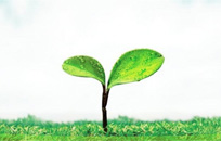 网站建设因您所“需” 做您所“求”