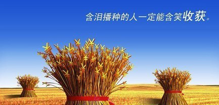 网站内容不更新