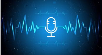 网站建设公司提示您